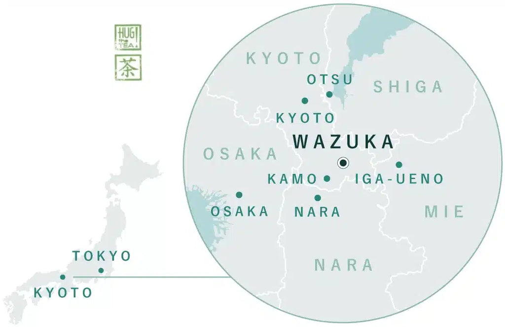 BLOG: Matcha and tea regions of Japan